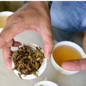 Fresh Stacks Original